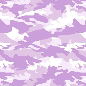 C9 - camouflage