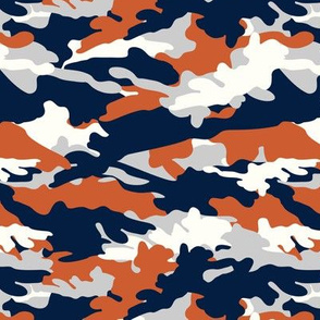 C6- camouflage