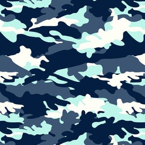 C5 - camouflage