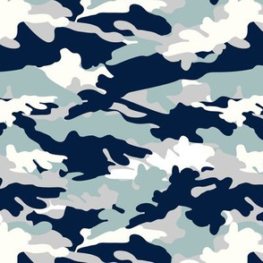 C12 - camouflage