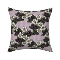 Blackberries and Flowers - Lavender Gingham - Large Scale