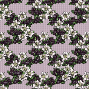 Blackberries and Flowers - Lavender Gingham - Large Scale