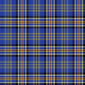 Ruxton dress tartan, 6"