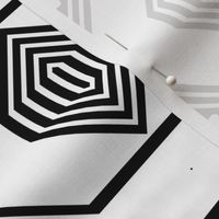 Black and White Geometric 11