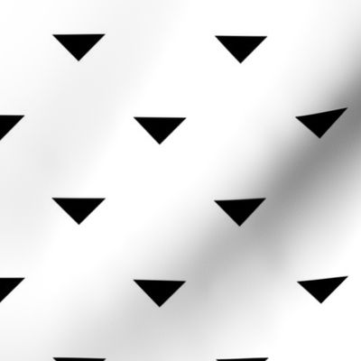 Black and White Geometric 13