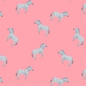 Pink Zebra