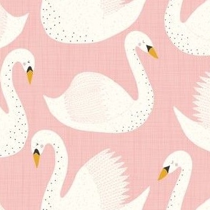 swimming swans on pink