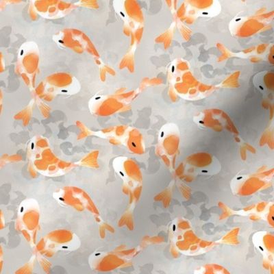 Japanese Koi Fish - Extra Small