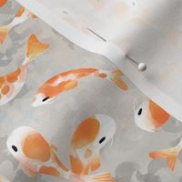 Japanese Koi Fish - Extra Small