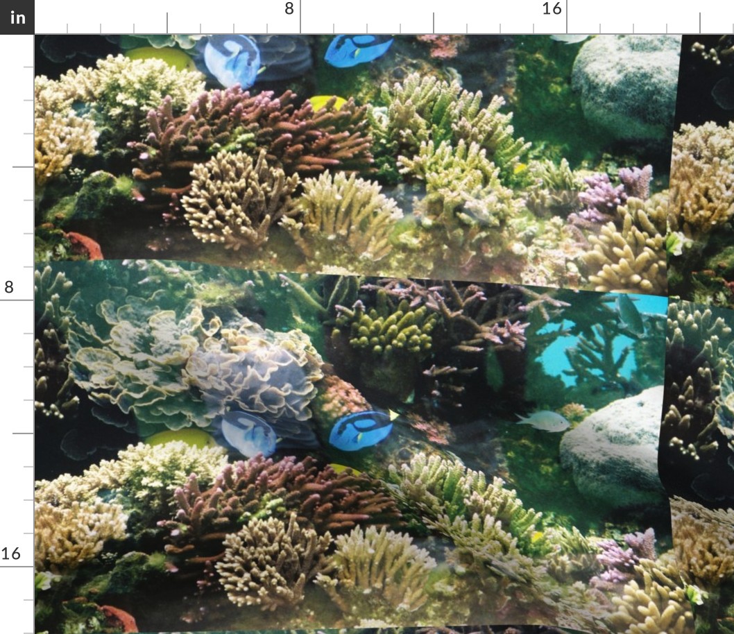 SWIMMING_IN_THE_CORAL_GARDEN-PLACEMATS