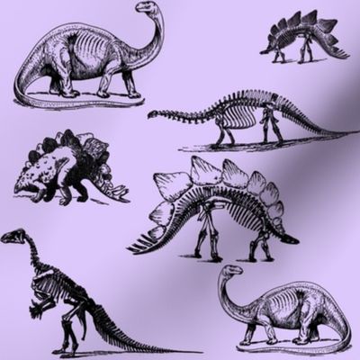 Museum Animals, Dinosaur Skeletons, Dinos on Purple Lavender