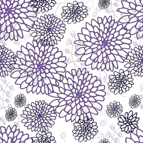 Chrysanthemums - Purple on White