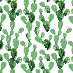 Watercolor Paddle Cactus // Small