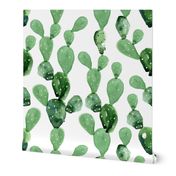 Watercolor Paddle Cactus / Large Scale