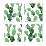 Watercolor Paddle Cactus / Large Scale