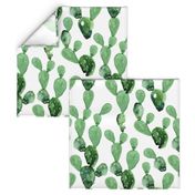 Watercolor Paddle Cactus / Large Scale