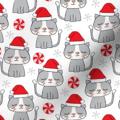 christmas-kitties on white