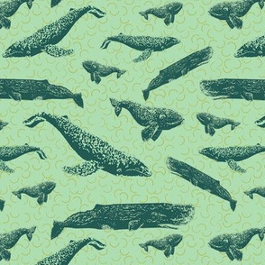 Prints of Whales