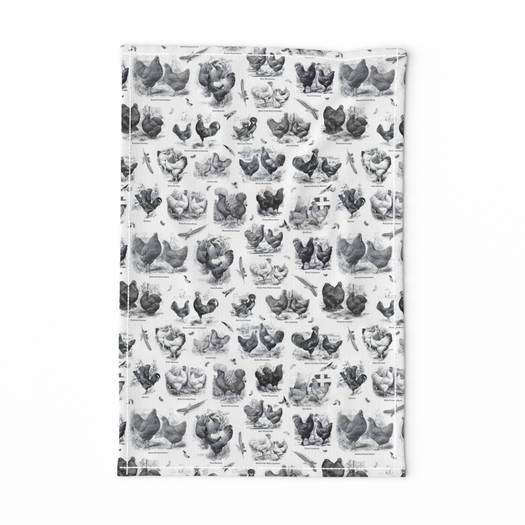 Poultry Envy White Black Toile 1/2 smaller