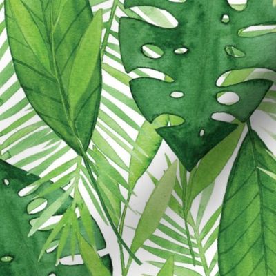 Tropical Leaves