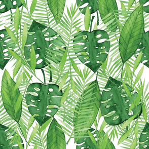 Tropical Leaves