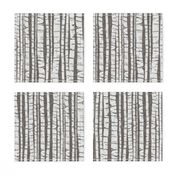 Birch Forest - large