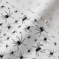 Spiders - black on white