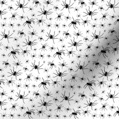 Spiders - black on white