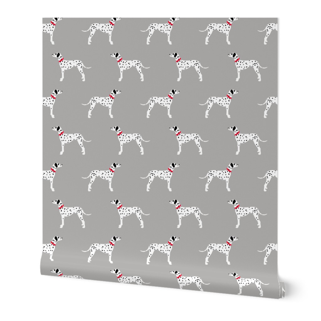 Dalmatians on grey