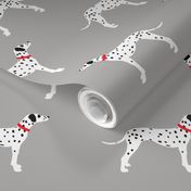 Dalmatians on grey