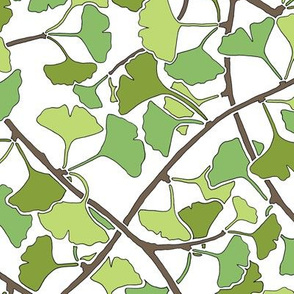 Ginkgo Leaves and Branches in Green on White