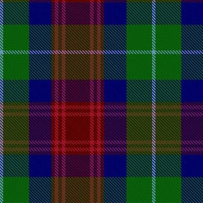 Clan Akins Tartan // Large