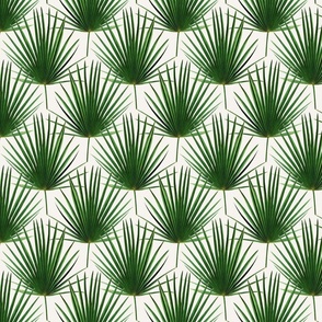 Extra Small Simple Palm Leaf Geometry green and cream