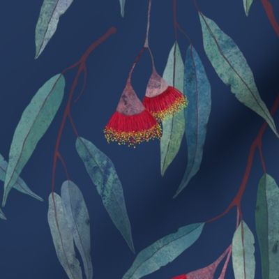 Eucalyptus leaves and flowers on blue /1/ scale 
