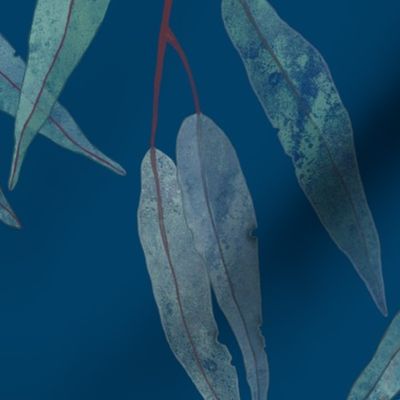Eucalyptus leaves on blue /2/ 