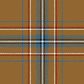 Spencer fashion tartan, 6"