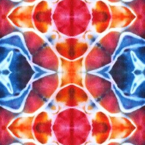 Tie Dye Mandala Star Pattern Rainbow