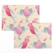 Pink Galahs CREAM BACKGROUND // Australian birds pink grey parrot cockatoo feathers