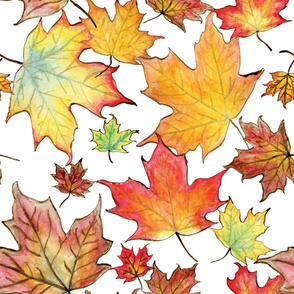 Autumn Maple Leaves 18 inch repeat
