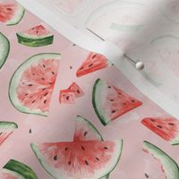 Small / Watermelon Bites Watercolor on Blush