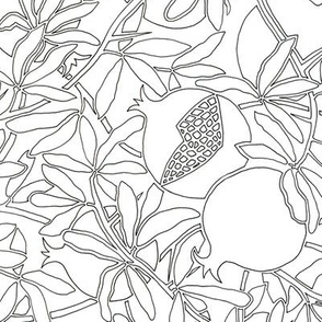 Pomegranate Tree Branches with Fruit and Leaves in Coloring Outlines