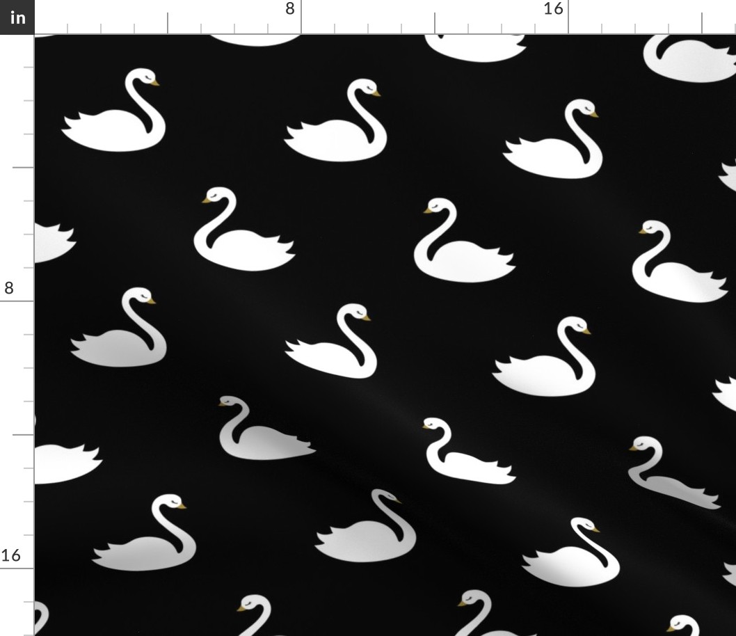 Swan White - Black background