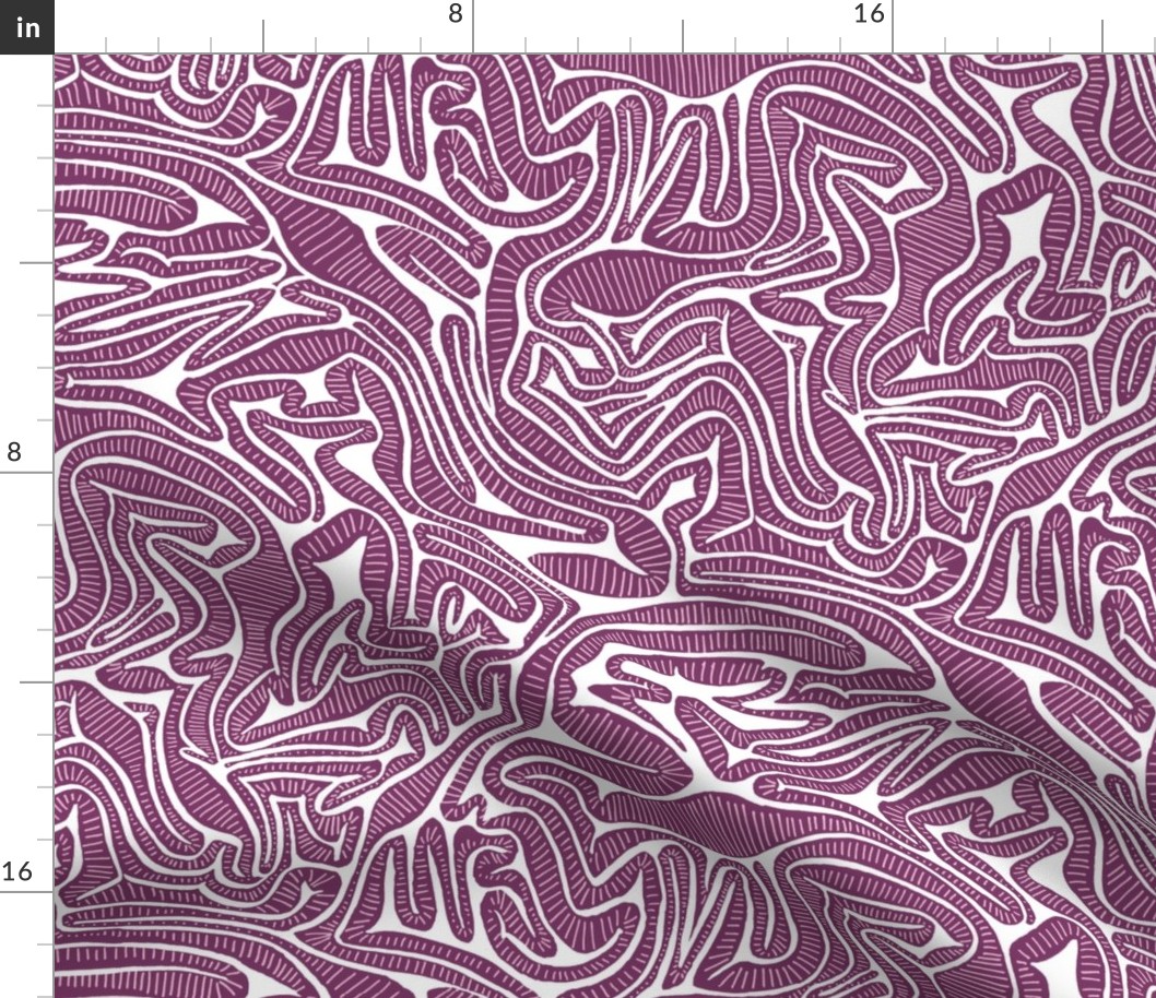 Red Cabbage Labyrinth