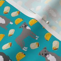pitbull taco fabric - dogs and burritos design - teal