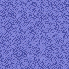 Paisley Microdot - Blue 2