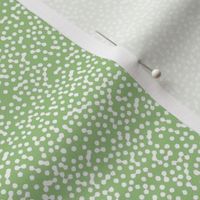 Paisley Microdot - Green