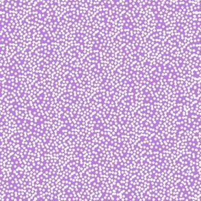 Paisley Microdot_-_Purple