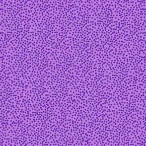 Paisley Microdot - Purple 2