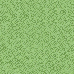 Paisley Microdot - Green 2