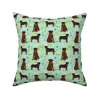 chocolate labrador easter fabric dog pastel easter spring design - mint